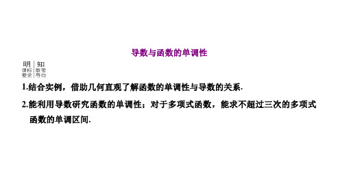 高三总复习数学课件 导数与函数的单调性