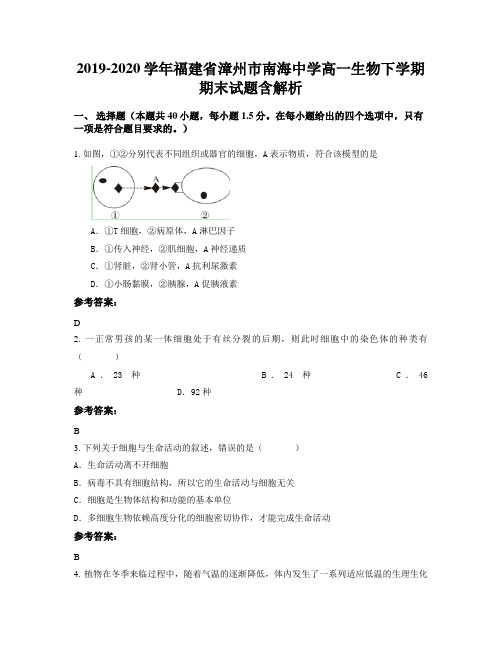 2019-2020学年福建省漳州市南海中学高一生物下学期期末试题含解析