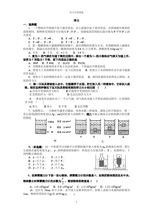 浮力难题专项训练