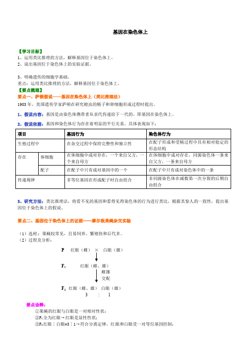 高中生物 知识点考点解析含答案 基因在染色体上知识讲解