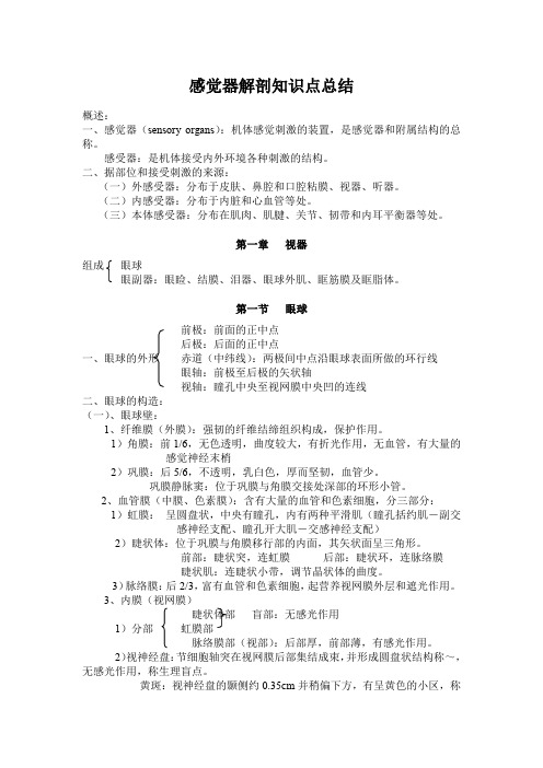 感觉器解剖知识点总结