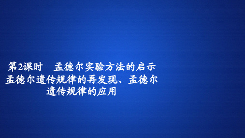 2019-2020学年 人教版 必修2  孟德尔实验方法的启示孟德尔遗传规律的再发现、孟德尔遗传规律的应用