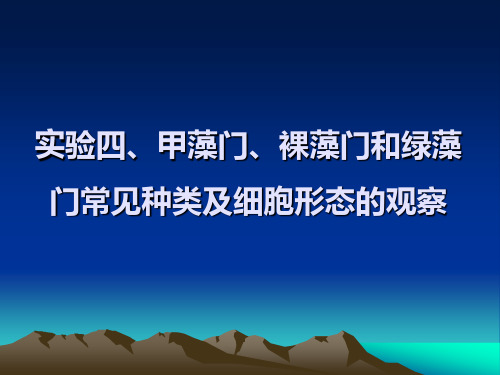 实验四、甲藻门、裸藻门和绿藻门常见种类及细胞形态的观察