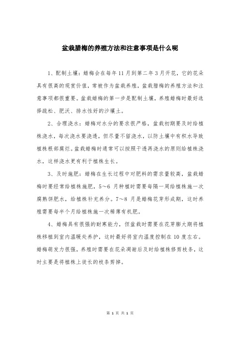 盆栽腊梅的养殖方法和注意事项是什么呢