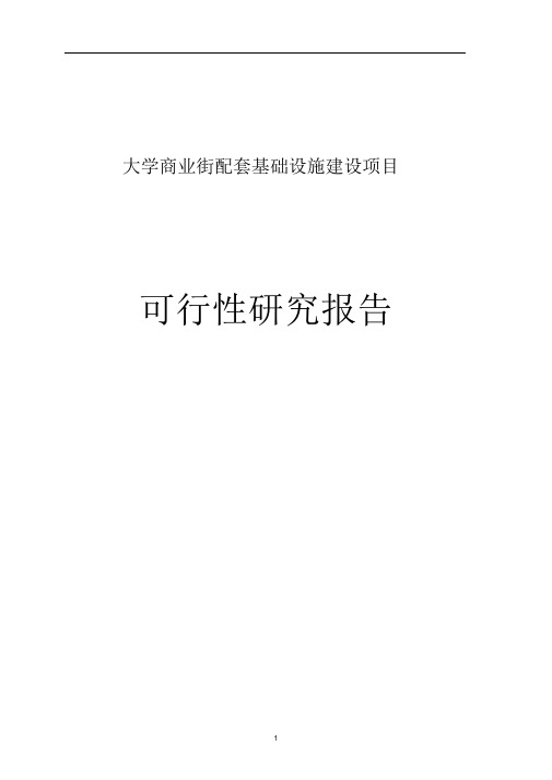 大学商业街配套基础设施建设项目可行性研究报告