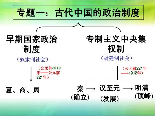 必修一专题一第一节