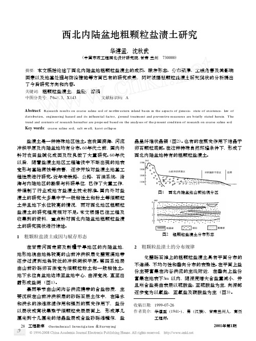 西北内陆盆地粗颗粒盐渍土研究