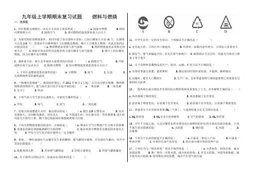 九年级化学总复习 燃料与燃烧试题