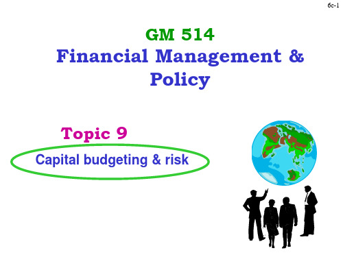 Capital Budgeting and risk