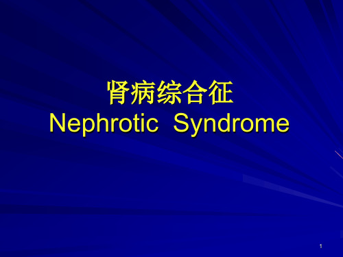 肾病综合征NephroticSyndromePPT课件