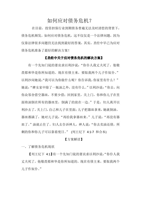 如何应对债务危机