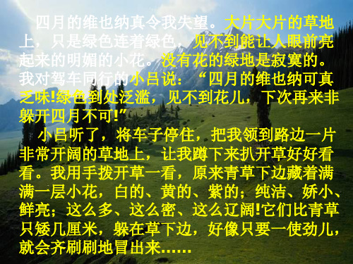 四年级语文花的勇气1(PPT)5-2