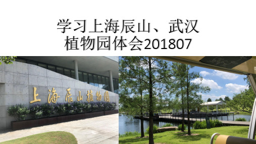 学习辰山、武汉植物园20180730
