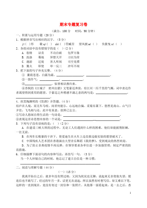 九年级语文下学期期末专题复习卷 苏教版