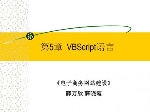 第5章 VBScript语言