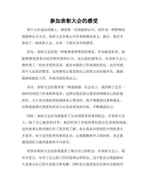 参加表彰大会的感受