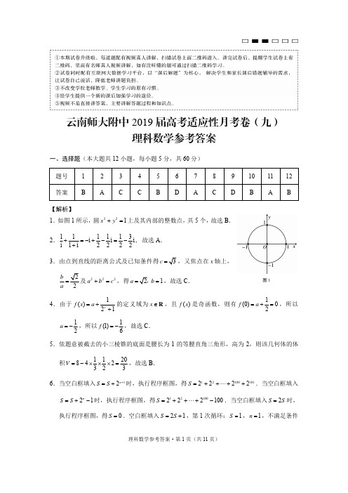 云南师大附中2019届高考适应性月考卷(九)理数-答案