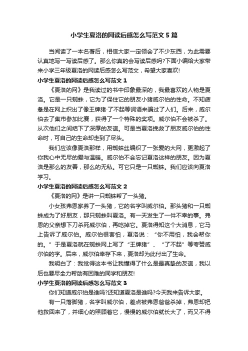 小学生夏洛的网读后感怎么写范文5篇