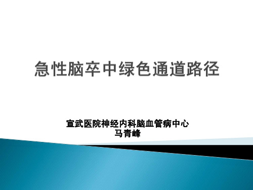 急性脑卒中绿色通道路径2015--天坛、宣武