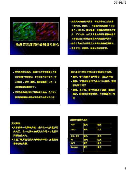 免疫荧光 样品制备及体会