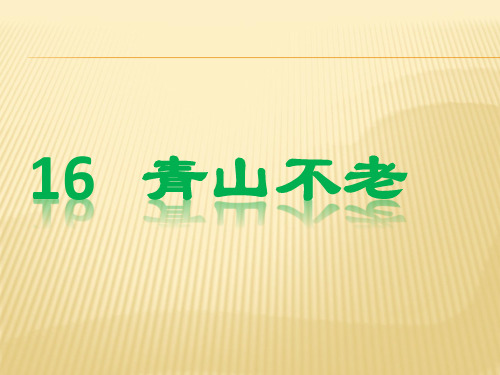 部编六年级上人教《16 青山不老》彭文欣PPT课件 一等奖新名师优质课获奖比赛公开免费下载