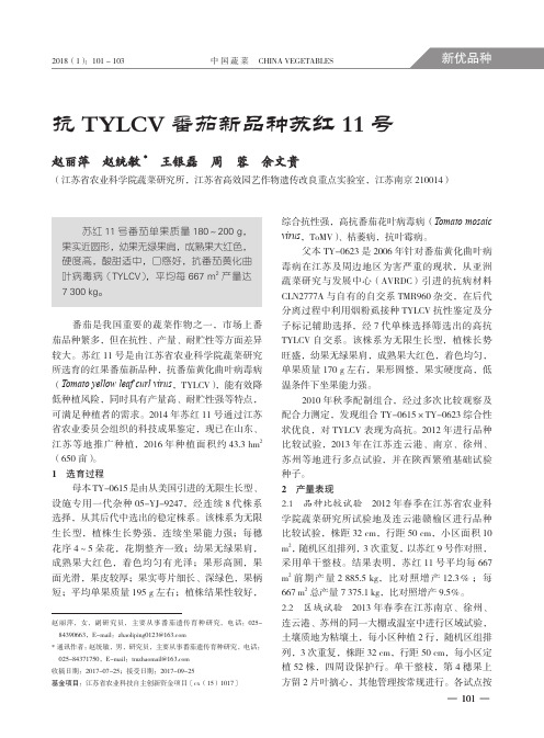 抗TYLCV番茄新品种苏红11号