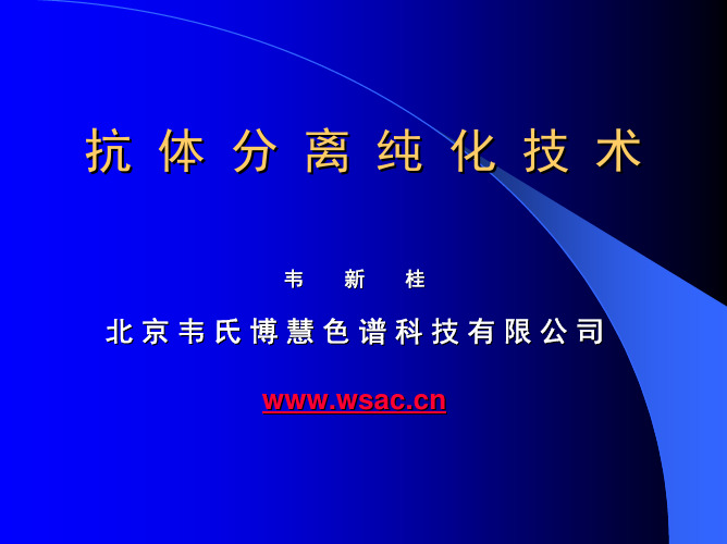 抗体分离纯化技术