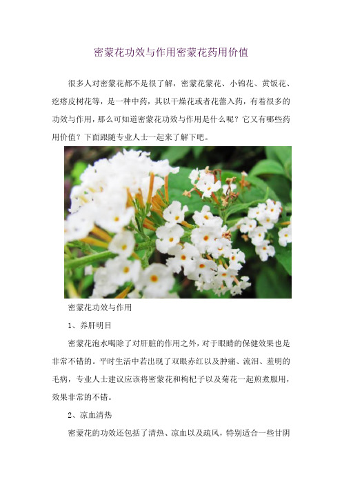 密蒙花功效与作用 密蒙花药用价值