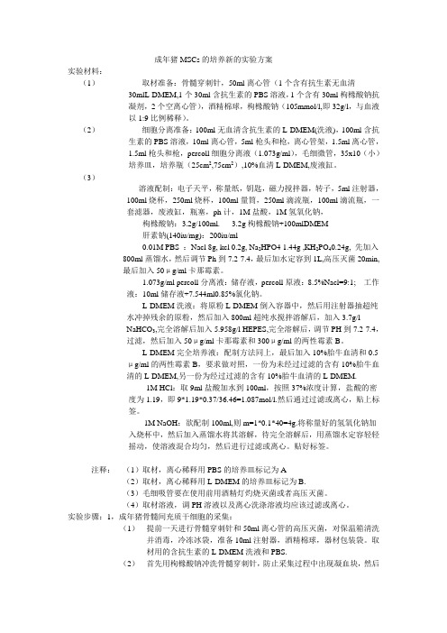 实验方案：成年猪MSCs的培养及鉴定