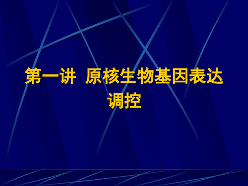 原核生物基因表达调控分析