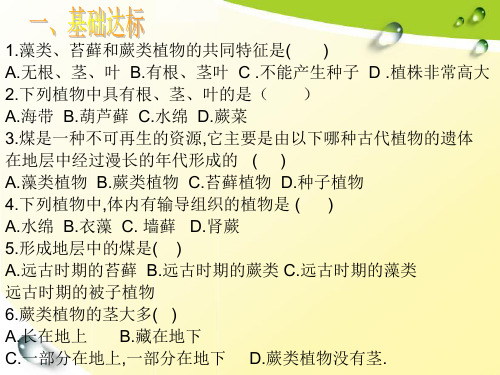 第一节藻类、苔藓和蕨类植物练习题