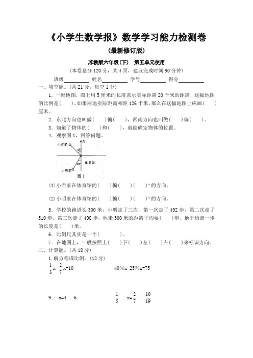 苏教版六年级下册《小学生数学报》数学学习能力检测卷第五单元