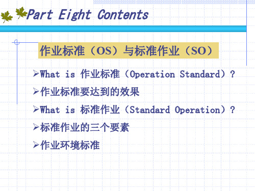 IE EIGHT 作业