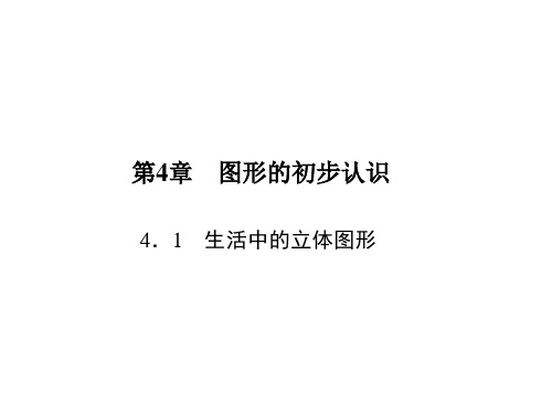 生活中的立体图形(1)PPT课件(华师大版)