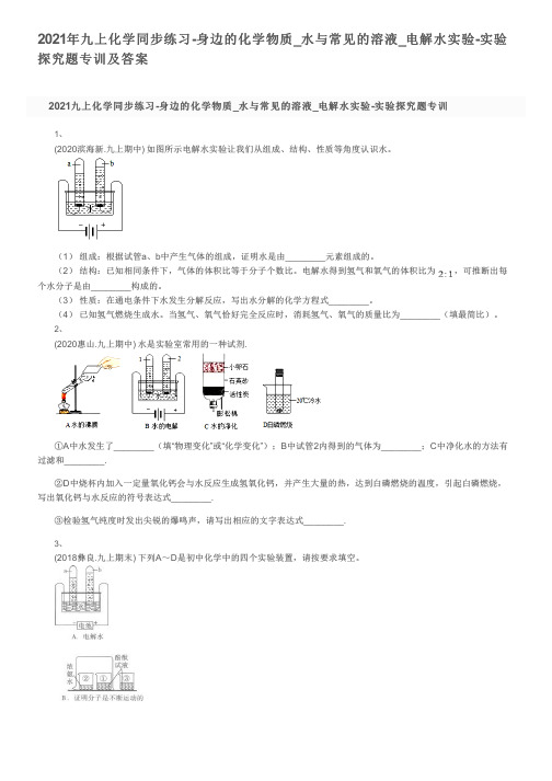 2021年九上化学同步练习-身边的化学物质_水与常见的溶液_电解水实验-实验探究题专训及答案