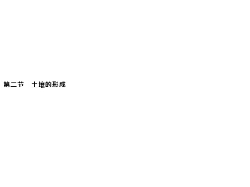 新湘教版(2019新教材)地理必修第一册课件：第五章 第二节 土壤的形成