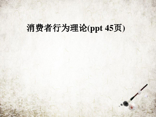 消费者行为理论(ppt 45页)