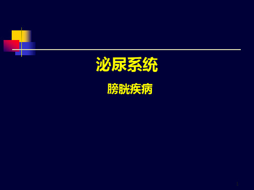 (精选课件)膀胱超声PPT幻灯片