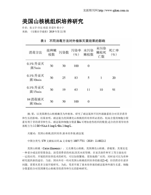 美国山核桃组织培养研究