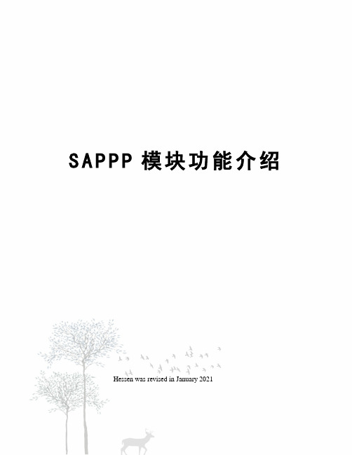 SAPPP模块功能介绍