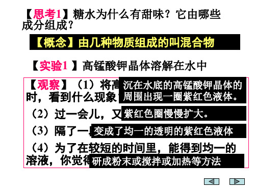 八年级科学物质在水的分散状况(PPT)3-3