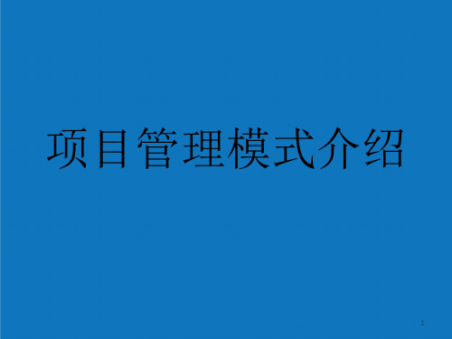 项目管理-项目管理模式介绍1 精品