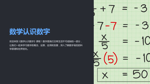 《数学认识数字》课件