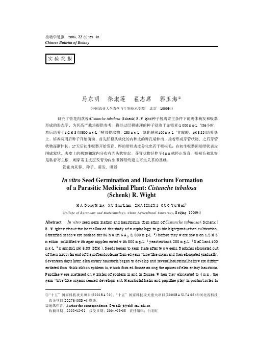 寄生药用植物管花肉苁蓉种子的离体萌发与吸器形成的形态学研究