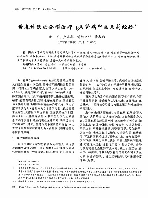 黄春林教授分型治疗IgA肾病中医用药经验