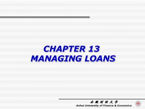chapter 13 managing loans