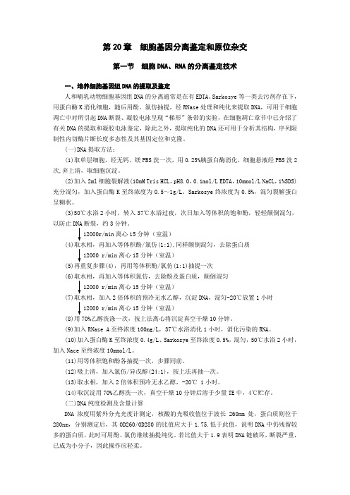 DNA提取步骤