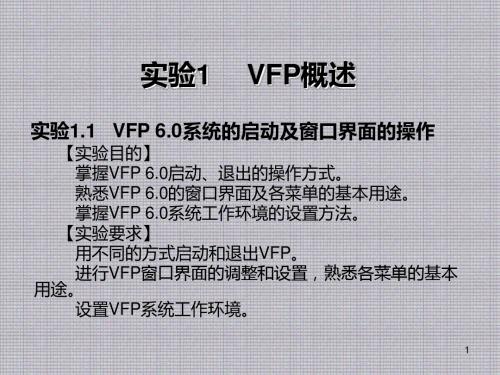 Visual FoxPro程序设计实践操作教程实验1 VFP概述