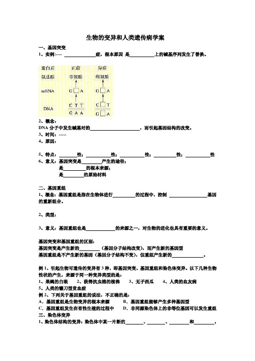 高二学业水平测试学案系列  生物变异和遗传病