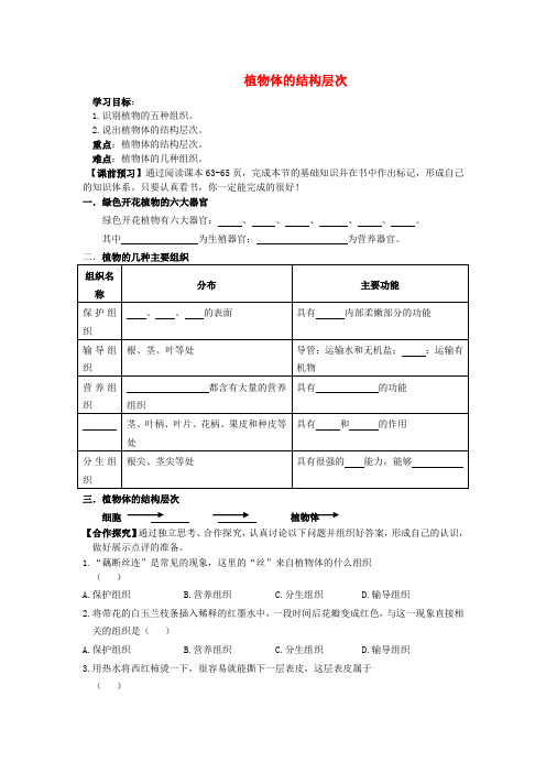 七年级生物上册 2.2.3 植物体的结构层次导学案(无答案)(新版)新人教版